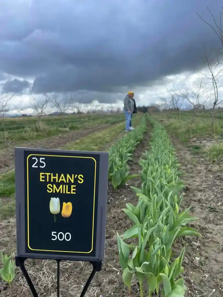 Proceeds From “Ethan’s Smile” Bulb Sales Help Provide Scholarships For Students At The University Of Idaho.