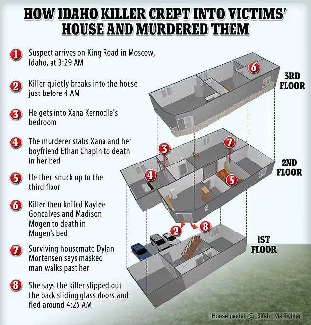 The manner in which the killer navigated the three-story home to kill the four students – who were sleeping in separate rooms and floors – in the early hours of a November morning has raised questions about his motives 